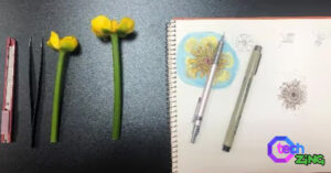 learn how to flower drawing in 3 simple and easy steps!